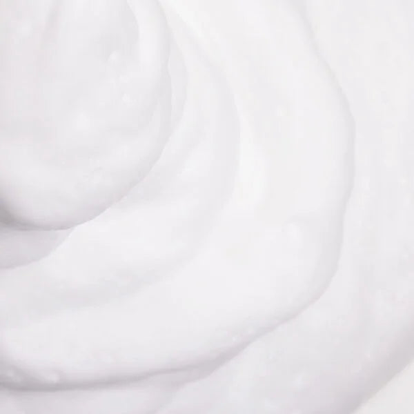 Four Reasons Professional Fiber Mousse 200ml