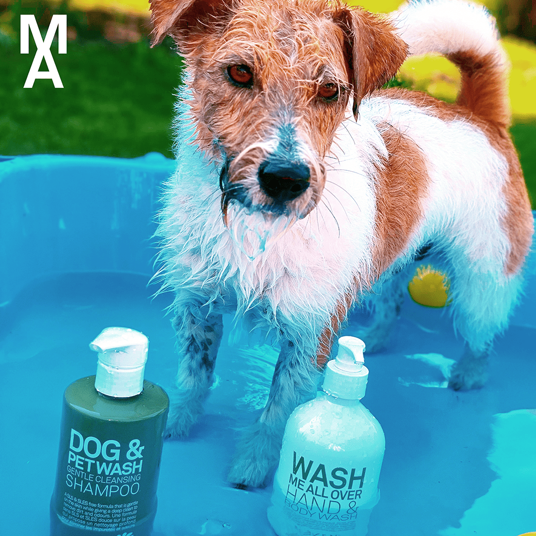 ELEVEN Dog Wash and Woof Duo - Salonmarjoahola - Shop