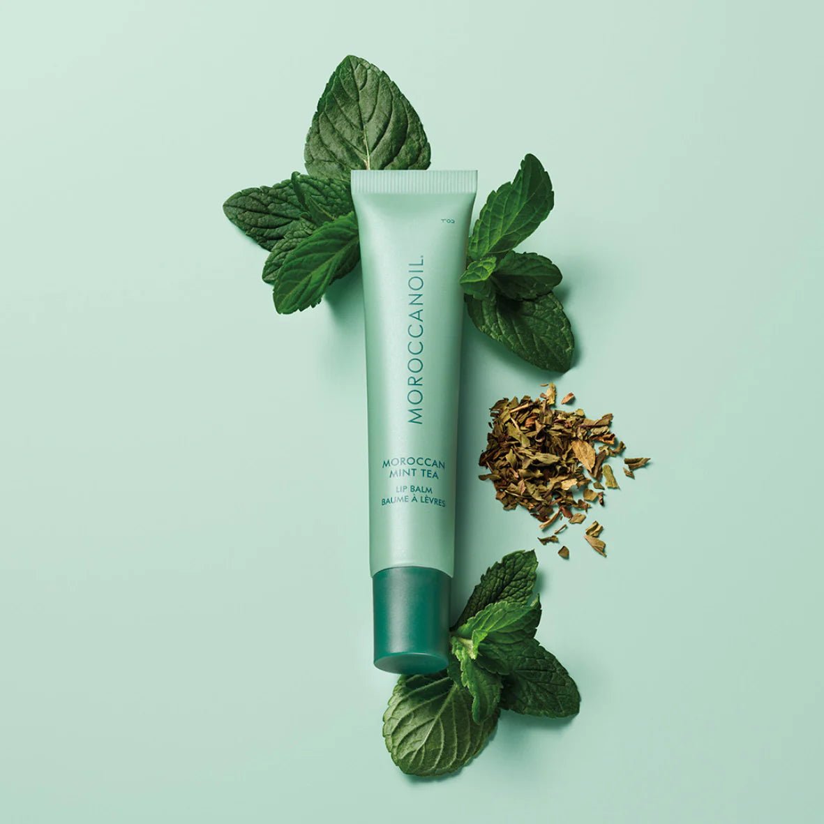 MOROCCANOIL Lip Balm - Moroccan Mint Tea 15g - Salonmarjoahola - Shop